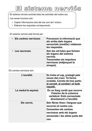 El Sistema Nerviós
