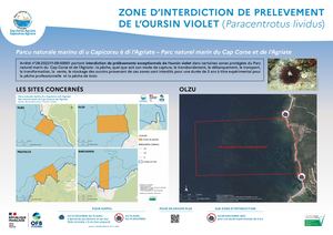 Panneaux d'informations zones jachères oursin violet