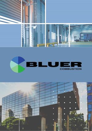 Catalogo Bluer Combustión