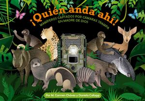 13 Quien Está Ahí Digital Carmen Cahvez