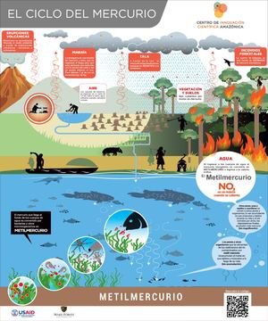 41 Ciclo Del Mercurio CINCIA
