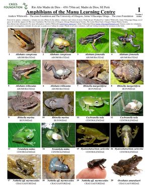 116 645 Anfibios De Manu Learning Centre