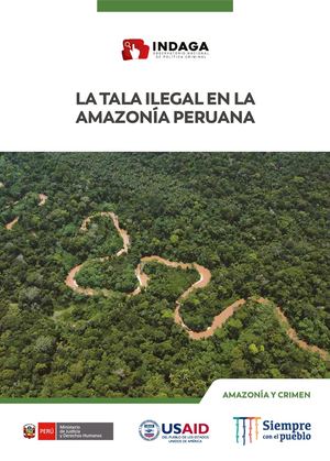 214 La Tala Ilegal En La Amazonia Peruana