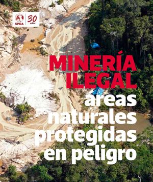 248 Minería Ilegal