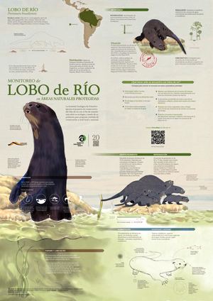 270 Infografía Lobo Río