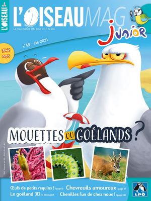 L'Oiseau Mag JUnior n°43 (été 2021)