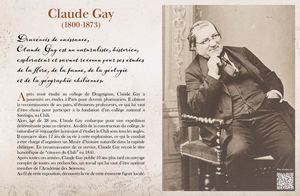 Exposition Claude Gay