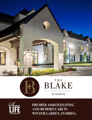 The Blake At Hamlin eBook