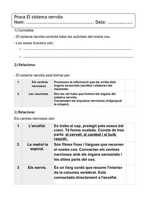 Prova El Sistema Nerviós