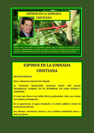 ESPINOS EN LA JORNADA CRISTIANA JOANNA DE ÁNGELIS DIVALDO FRANCO