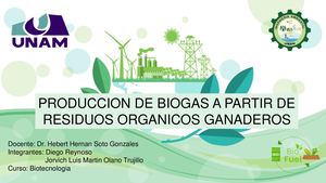 Biodigestores Ppt