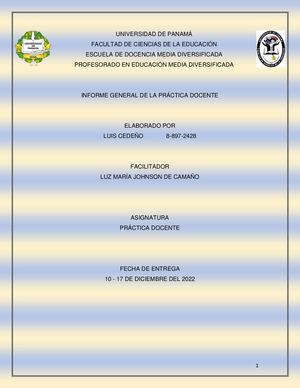 Informe Final De Practica Profesional Luis Cedeño