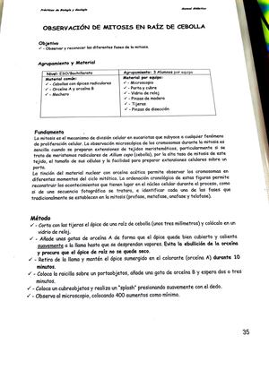 Practicas Lab Con Cebolla