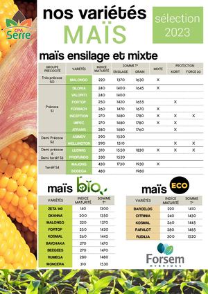 Plaquette Maïs 2023