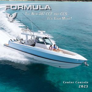 104684 TBird 387 CCF Flyer FINAL