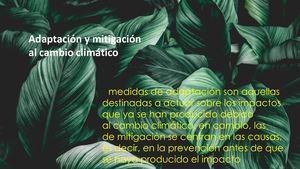 Calaméo - Adaptación Y Mitigación Al Cambio Climático en mi zona 1