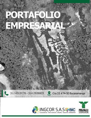 Portafolio Ingcor Sas Bic