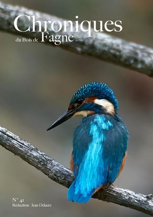 Les Chroniques du Bois de Fagne N°41