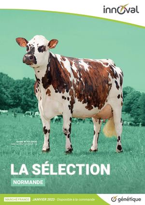 Selection normande janvier 2023