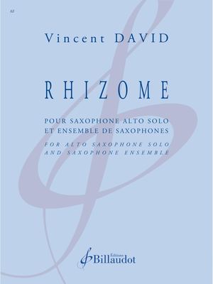Vincent David - Rhizome