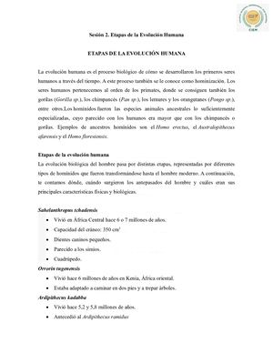 Sesión 2 Etapas De La Evolución Humana
