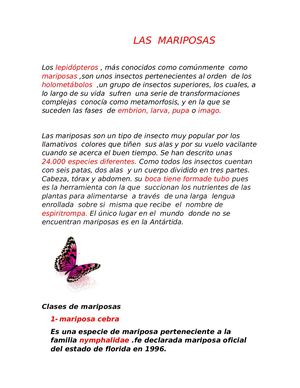 Las Mariposas Alisson Castellanos