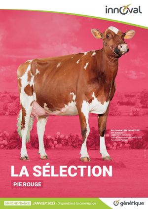 Selection Pie Rouge - Janvier 2023