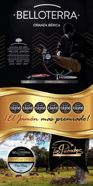 Catalogo Daoiz Belloterra 20 12 22