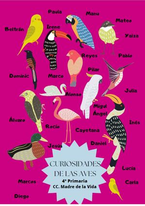 Libro Curiosidades De Las Aves