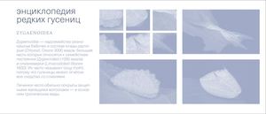 Энциклопедия редких гусениц