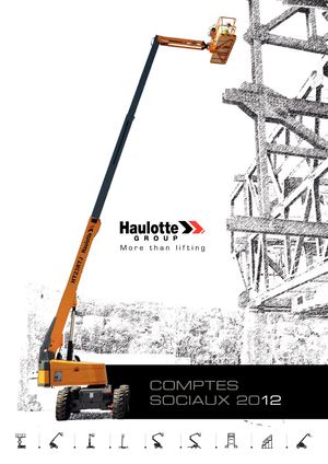 2012 - Comptes Sociaux