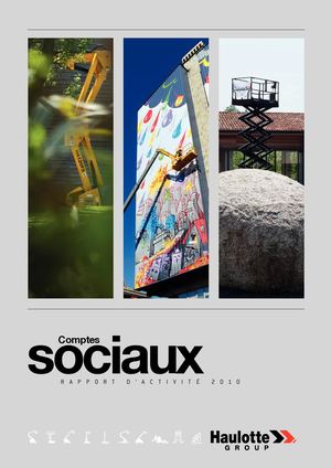 2010 - Comptes Sociaux
