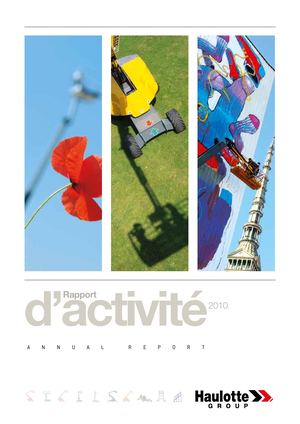 2010 - Rapport Annuel