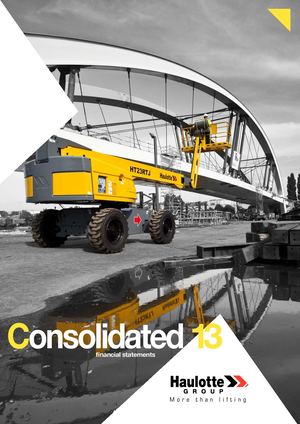 2013 - Consolidated Financial Statements