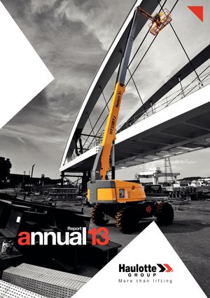 2013 - Annual Report