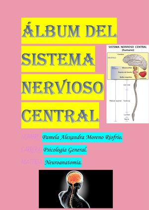 ÁLbum Del Sistema Nervioso Central