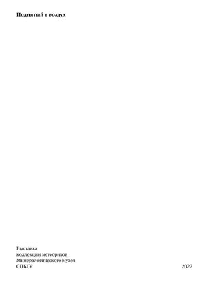 Поднятый в воздух