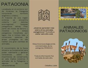 Folleto Tríptico Animales Patagónicos