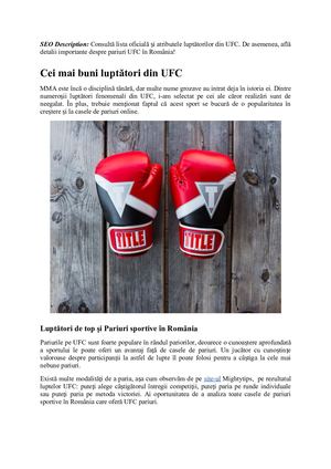 Cei mai buni luptători din UFC