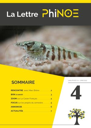 4 Lettre Phinoe Juillet 2022