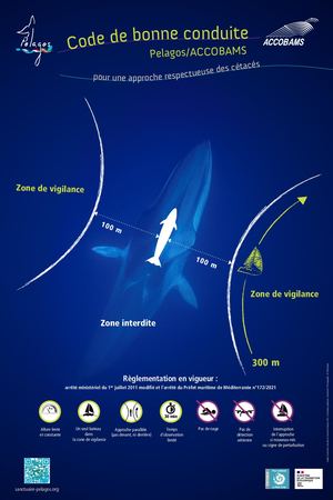 Poster Code De Bonne Conduite