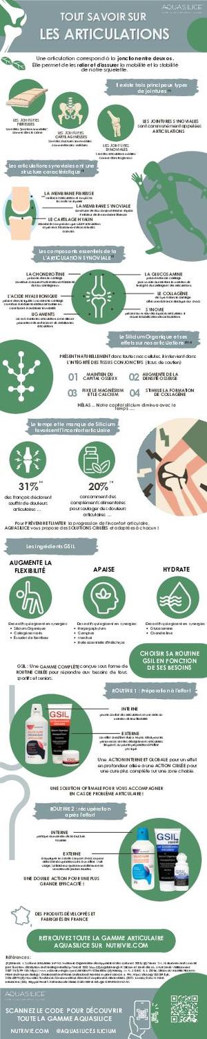 Infographie Articulations