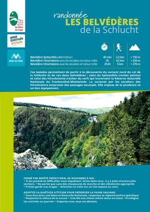 Randonnée Les Belvédères de La Schlucht