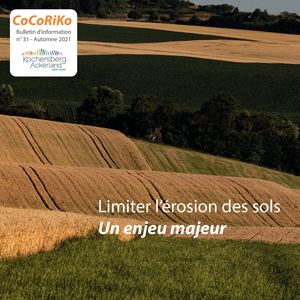 Co Co Ri Ko 31 Bis Compressed