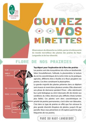 Ouvrez vos mirettes sur les Prairies