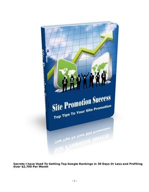 Site Promotion Success