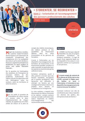 Synthèse Contribution Volet 2 Orientation Adultes