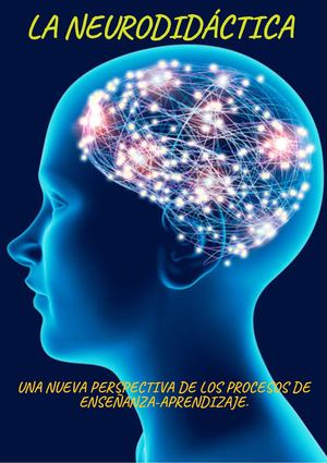 LA NEURODIDÁCTICA:  UNA NUEVA PERSPECTIVA DE LOS PROCESOS DE ENSEÑANZA-APRENDIZAJE.