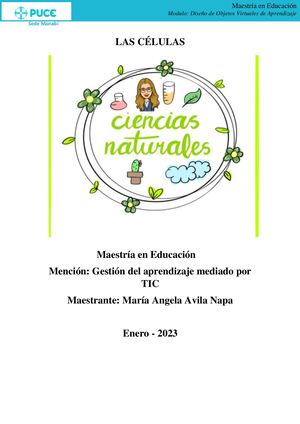 Las Células Eucariotas Y Procariotas , Revista