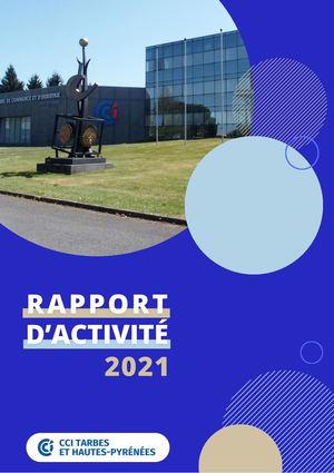 Rapport D'activite 2021 Vf2